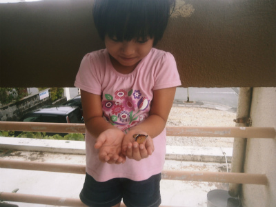 c0180460_10371121.jpg