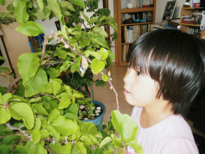 c0180460_1038425.jpg