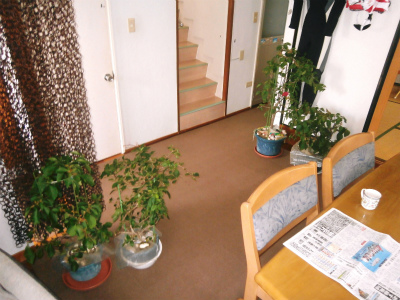 c0180460_1042365.jpg