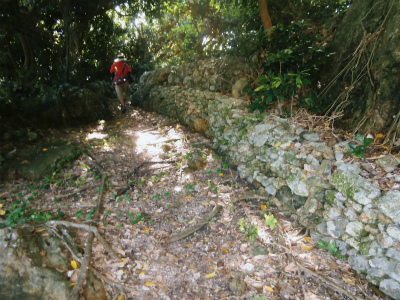 c0180460_2319272.jpg