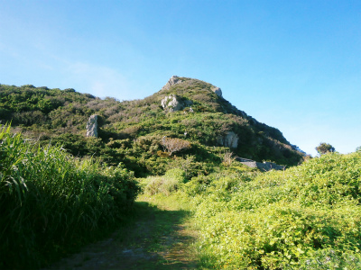 c0180460_2319416.jpg