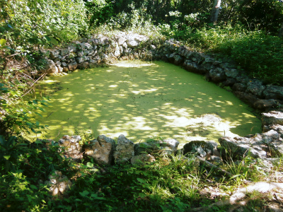 c0180460_23221045.jpg