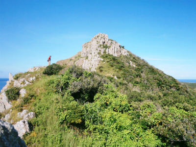 c0180460_23232116.jpg