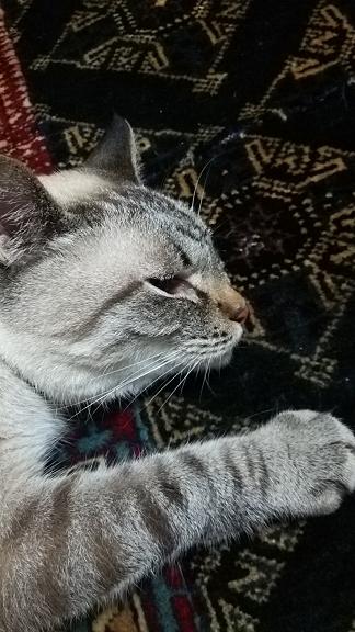 c0172261_056356.jpg