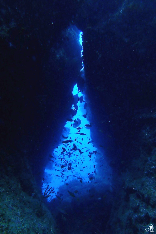 e0158261_8291091.jpg