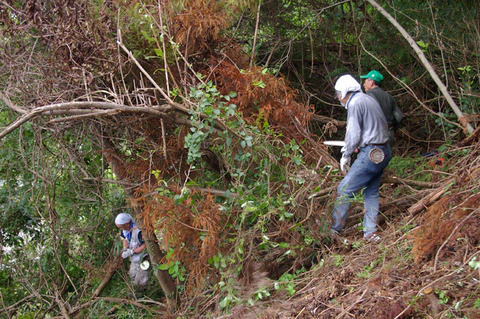 蔓に絡まれ山桜あわや“窒息死” 7・9六国見山臨時手入れ_c0014967_11282235.jpg