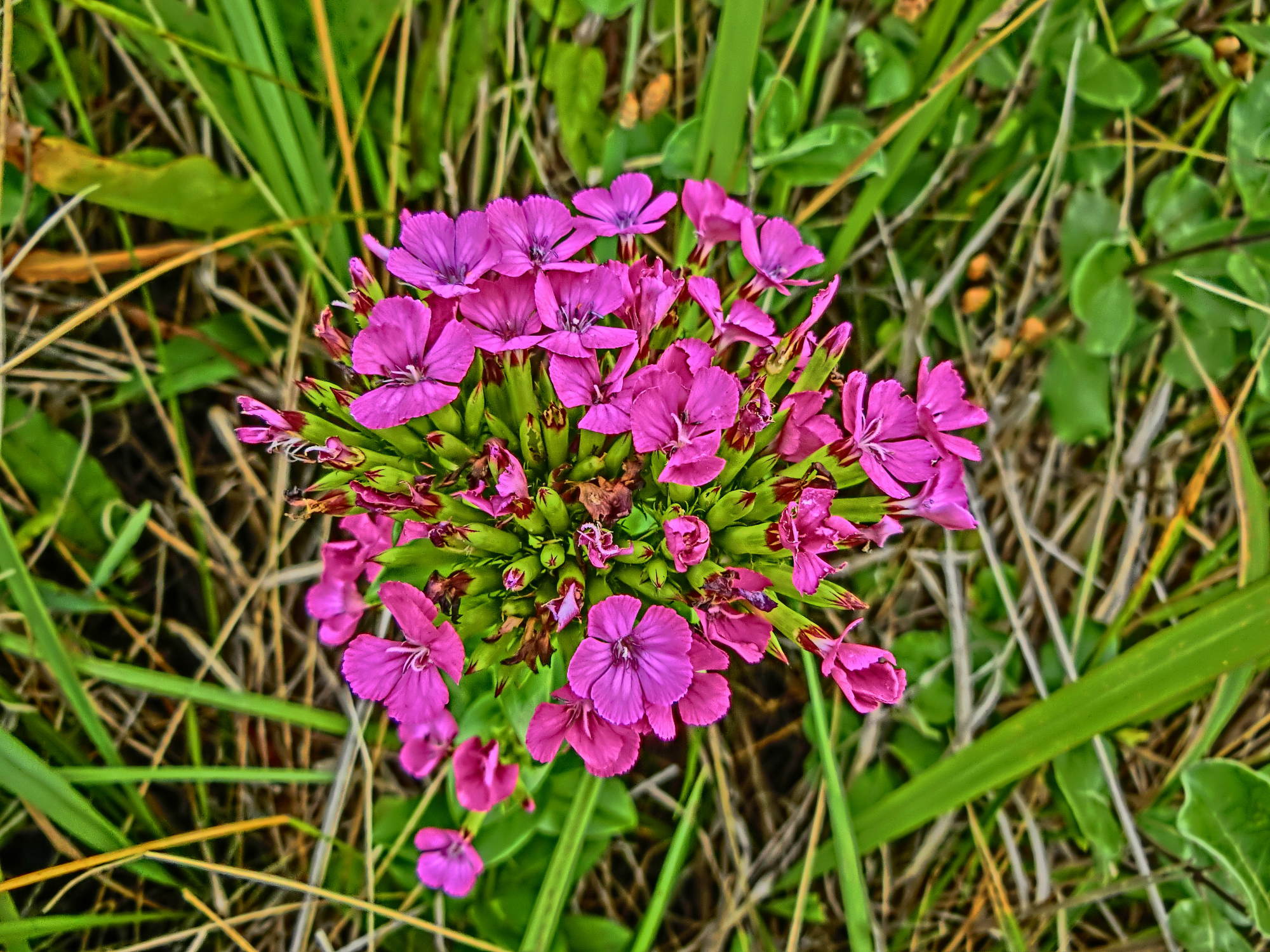 e0015567_18432511.jpg