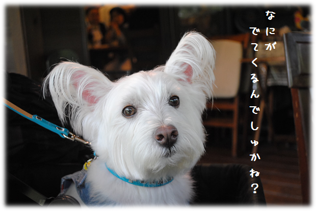 b0242873_01360923.png