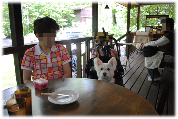 b0242873_01511807.png
