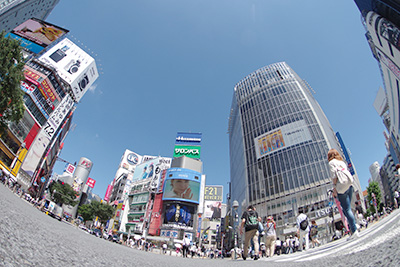 b0056983_11243233.jpg