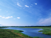 e0198590_1822363.jpg