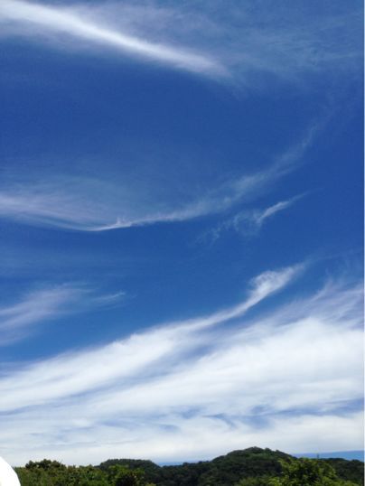 f0298891_13239.jpg