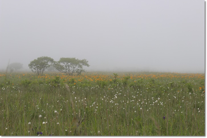 f0146493_20102884.jpg