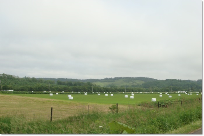 f0146493_207168.jpg