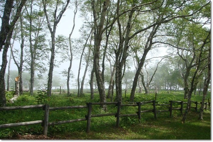 f0146493_2072382.jpg