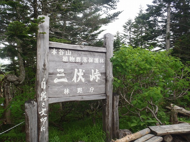 台風の来ぬ間に日本一高い場所にある三伏峠にハイキング（本編）_c0147398_20213541.jpg