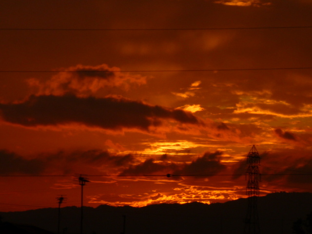 e0326699_15423621.jpg