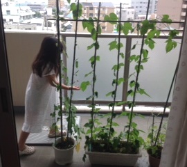 虹の色は何色?　色数・色味を印刷人的視点から考える_d0137902_15372117.jpg