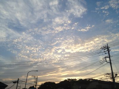 夏がきた_e0239908_2025264.jpg