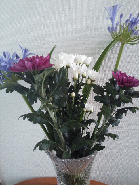 e0278508_63141.jpg