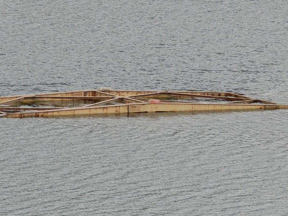 d0119909_6533040.jpg