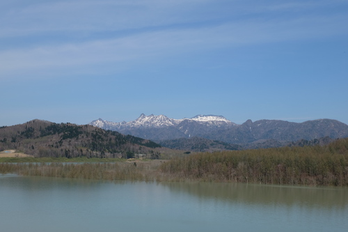 d0119909_6553046.jpg