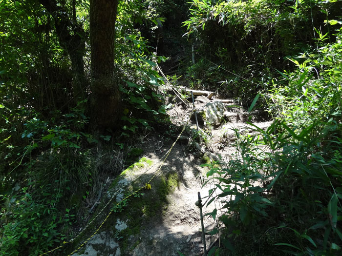 e0077010_19321511.jpg
