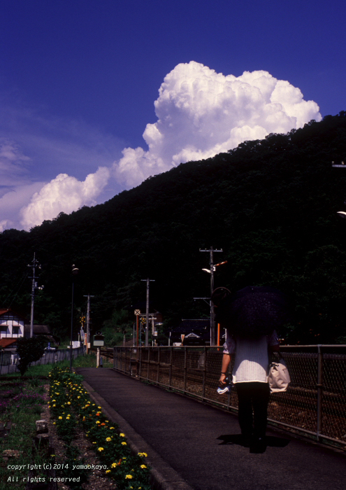夏の日の午後に_d0309612_22185047.jpg