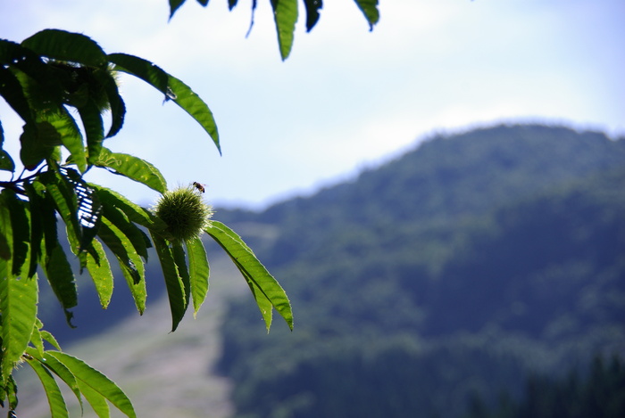 d0237340_20395760.jpg