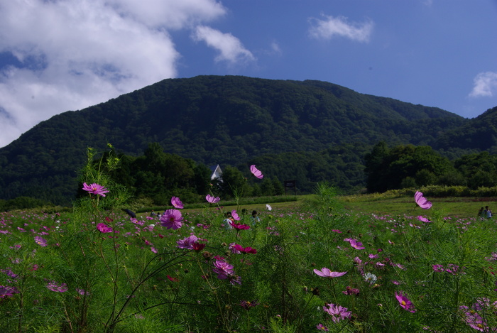 d0237340_204138.jpg