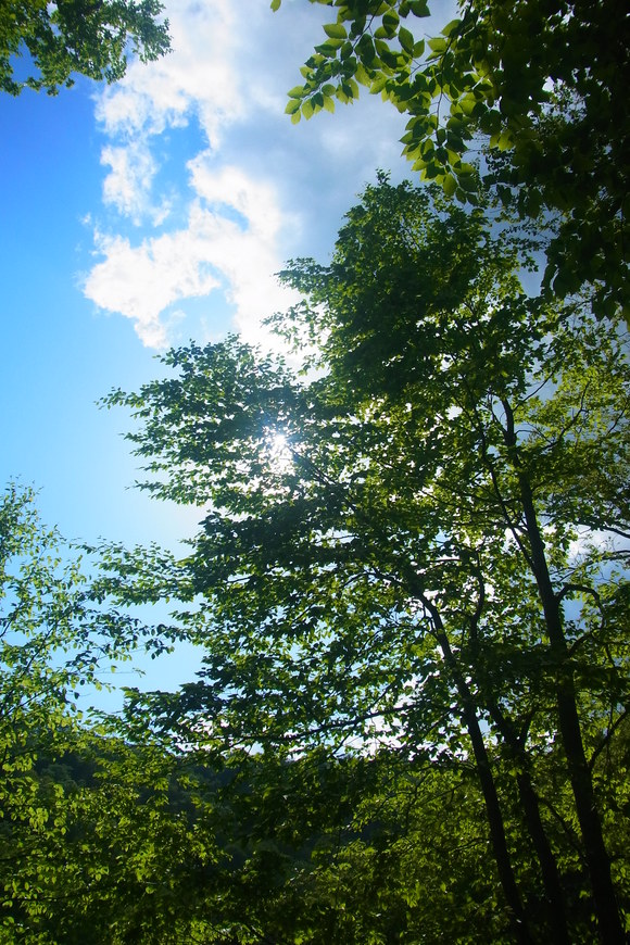 旅に山歩き。_b0207642_18411043.jpg