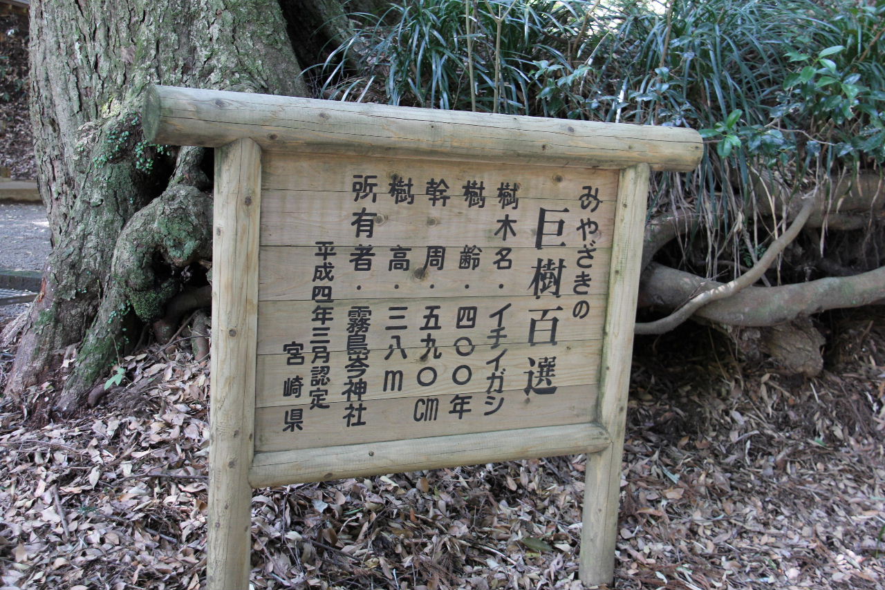 【霧島岑神社】  天孫降臨からの日向三代の神々と妃神を祀る_c0011649_794953.jpg