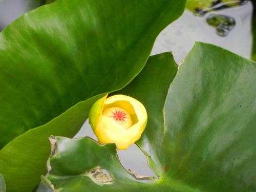 e0070152_2014177.jpg