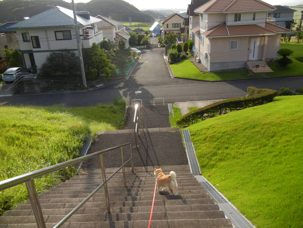 ’14,7,12(土)今日も真夏日で30度!_f0060461_965395.jpg