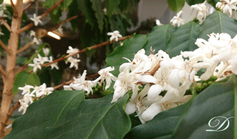 d0110462_19283992.gif