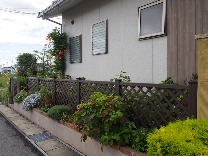 b0194267_2011321.jpg