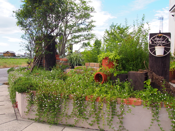 b0194267_20122113.jpg