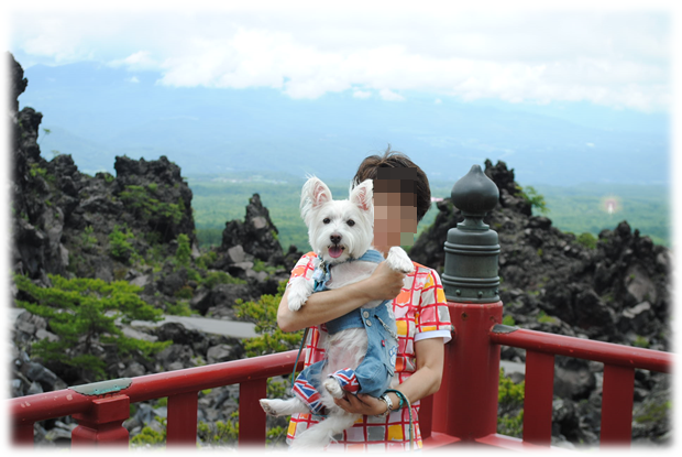 b0242873_20213231.png