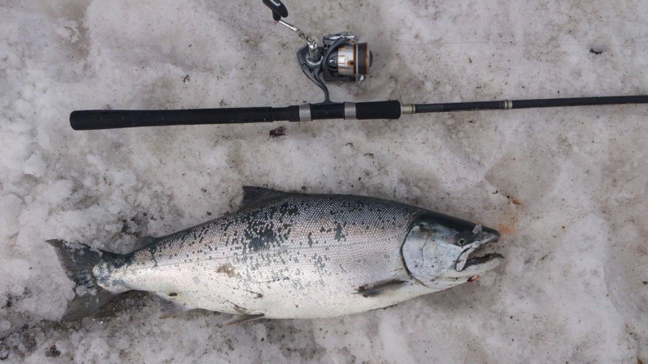 b0333977_01403084.jpg