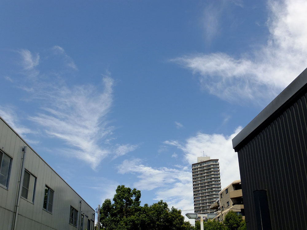 台風一過_a0078397_12074579.jpg