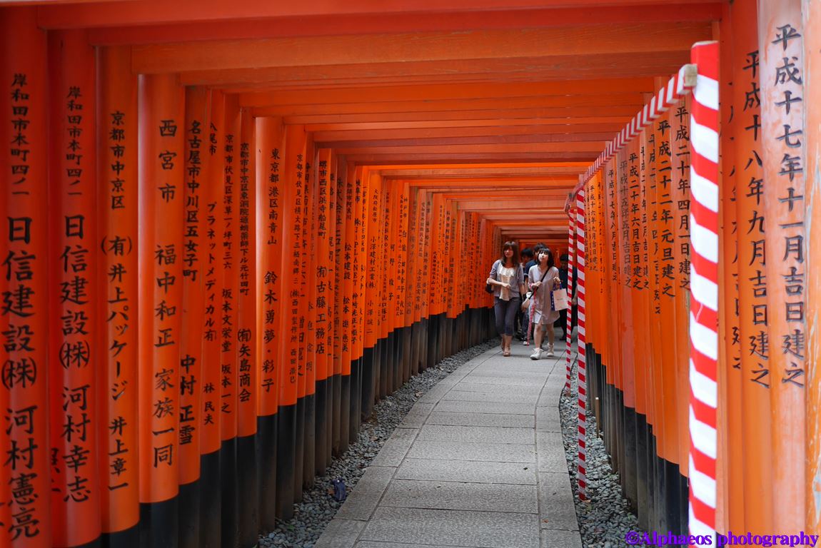 2014年7月5日　LEICA DG 15mm　in 京都_a0060403_11481490.jpg