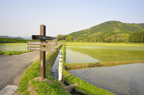 福島地区のサイン_a0286510_18261626.jpg