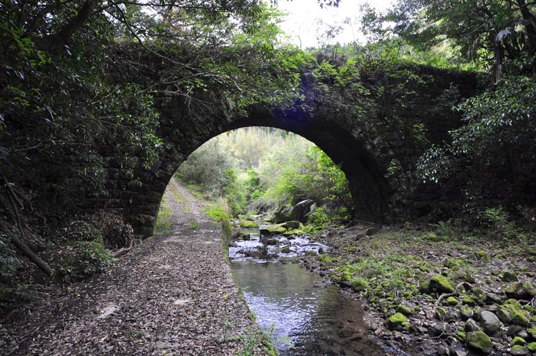 大束地区のサイン_a0286510_1830543.jpg