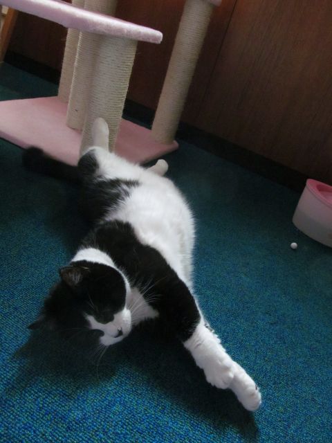 脱走_e0101819_15305396.jpg