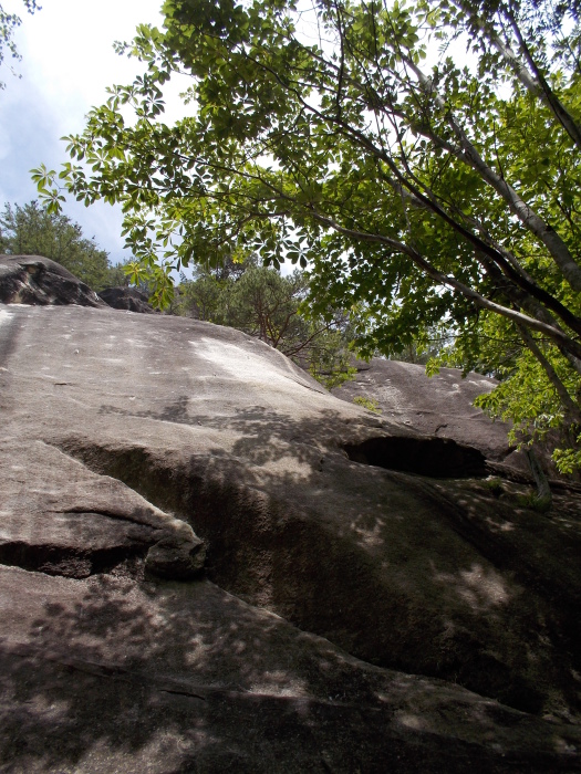 b0037220_00172572.jpg