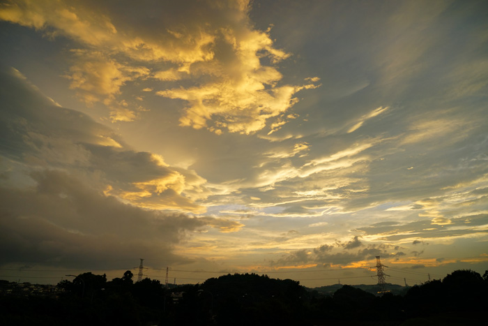 梅雨末期？ 日曜の夕_e0077521_2214154.jpg