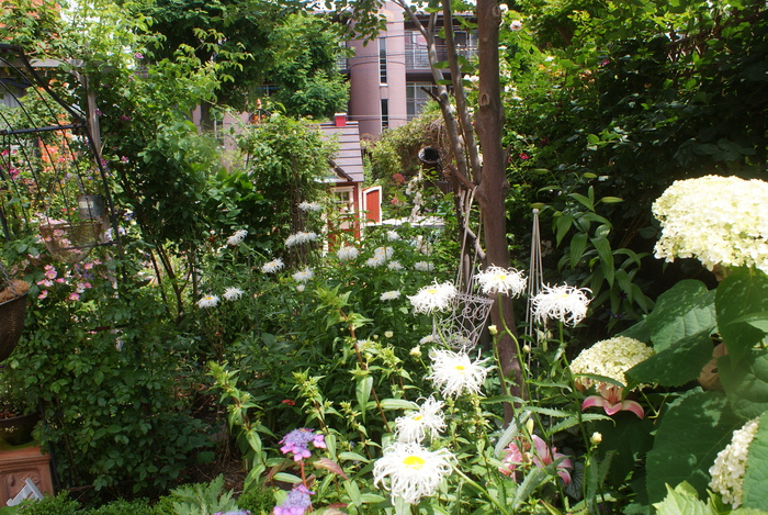 f0170524_834139.jpg