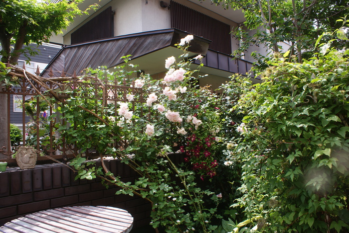 f0170524_8391052.jpg