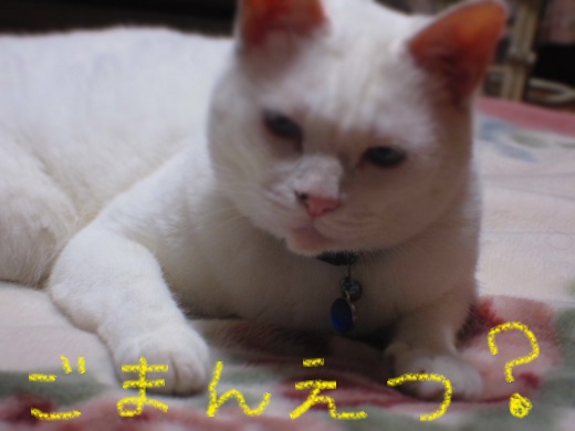 f0002833_1449415.jpg