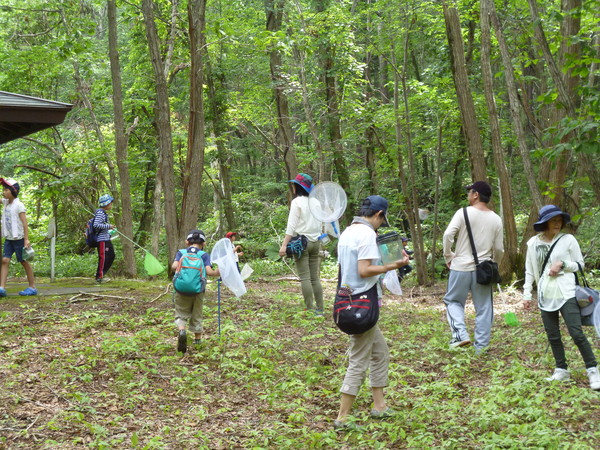 昆虫観察会　　　　　７月１３日（日）_c0233141_1335557.jpg